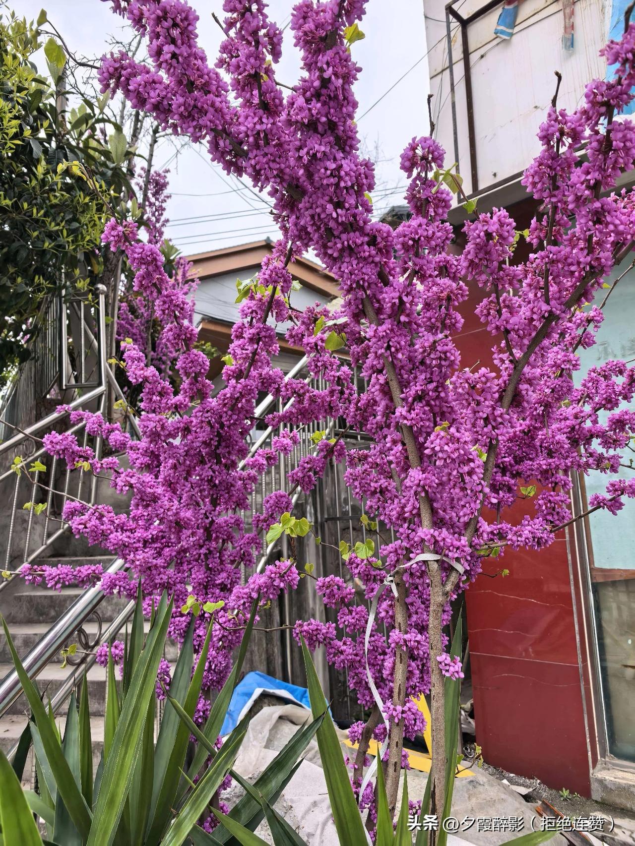 赴一场春日之约，打卡人间温柔，不负好时光✨