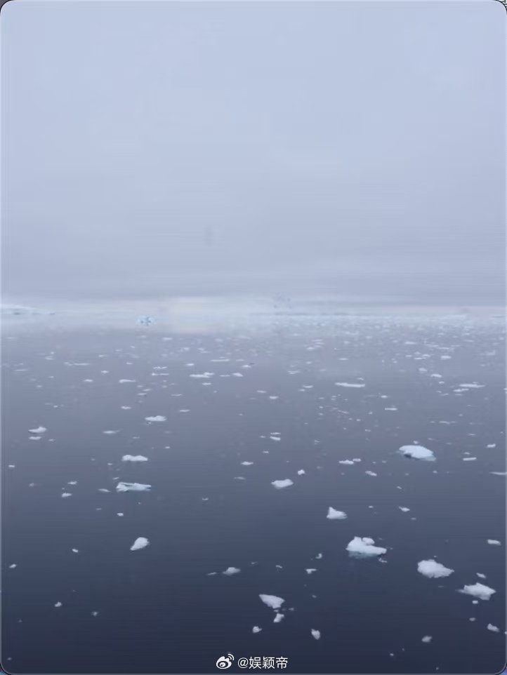 在南极这片无国界的大陆上，每一天的极昼都在诉说新的可能。何香蓓的镜头里，企鹅一次