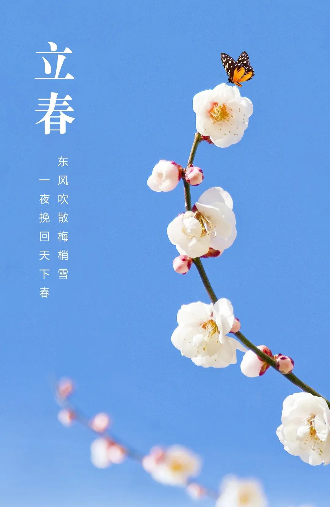 春日暖阳下，蝴蝶翩翩起舞，花瓣飘落如梦。立春恰好探梅时 春暖花朵开 别枝盛放 梅