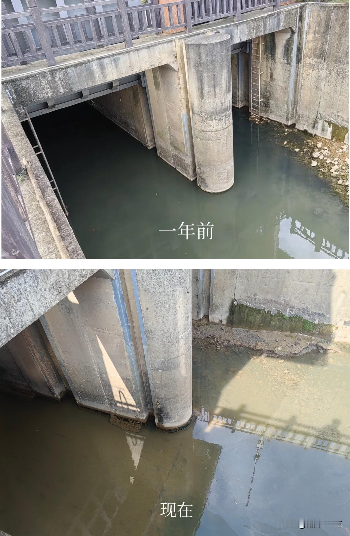 排污口经过对比，明显能看出有了显著进步。
     这里是大亚湾西区三小旁的一个