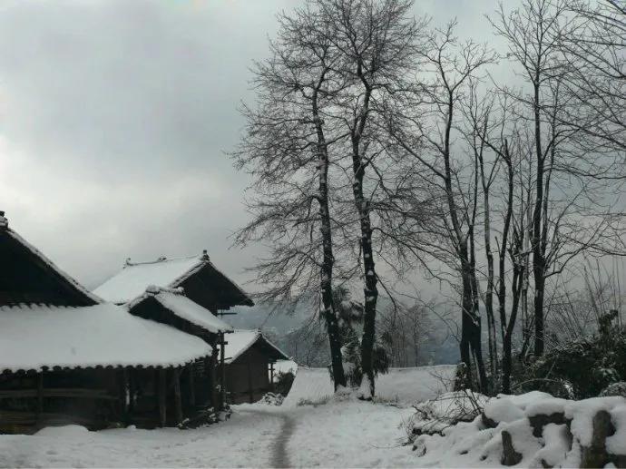 风中老木悲秋立
雪里残枝恨冬来