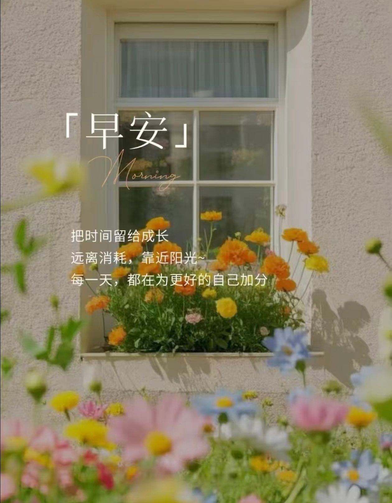 ✨心怀美好梦想接纳生活百态不必急于求成稳稳走好今天保持热爱，从容向前 