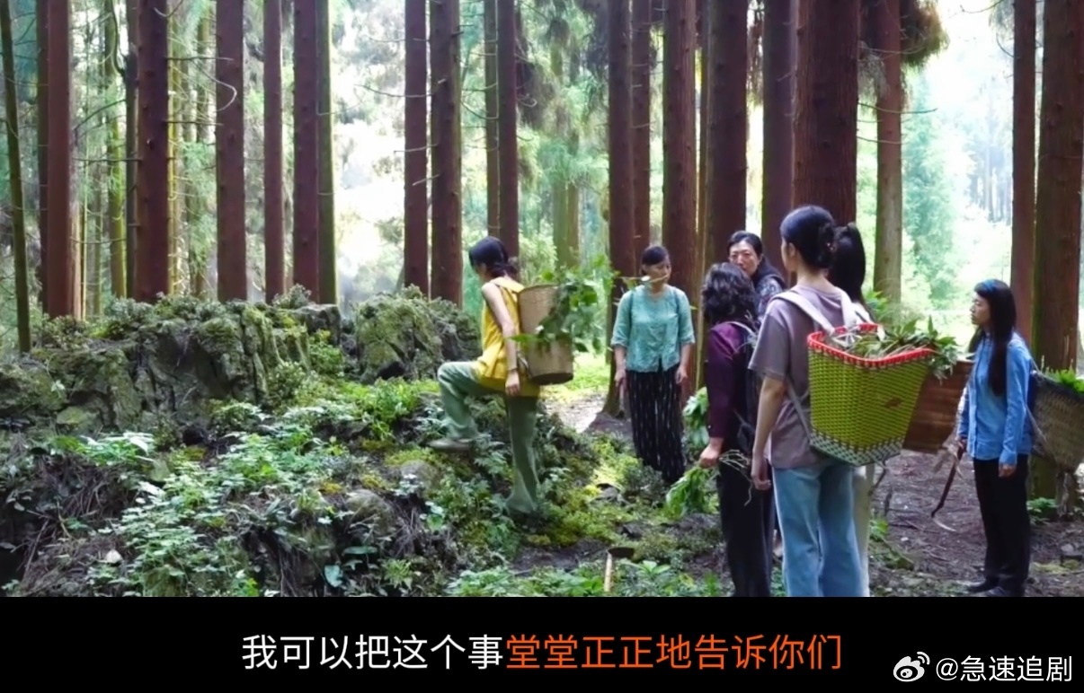 中国妇女杂志评小芳 "婚姻这道题不是沉甸甸的锄头，是林间的药草"这句话写得也太好