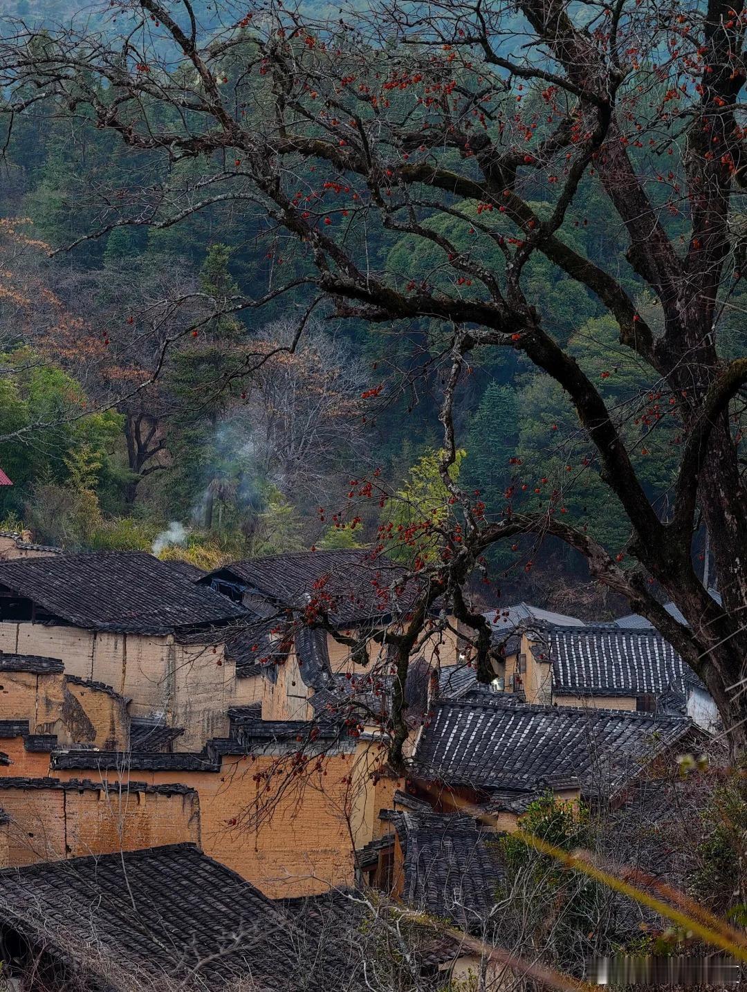 盛夏追光之旅微博旅行ing福建宁德屏南龙潭村，藏在闽东深山的六百年古村，被游客称