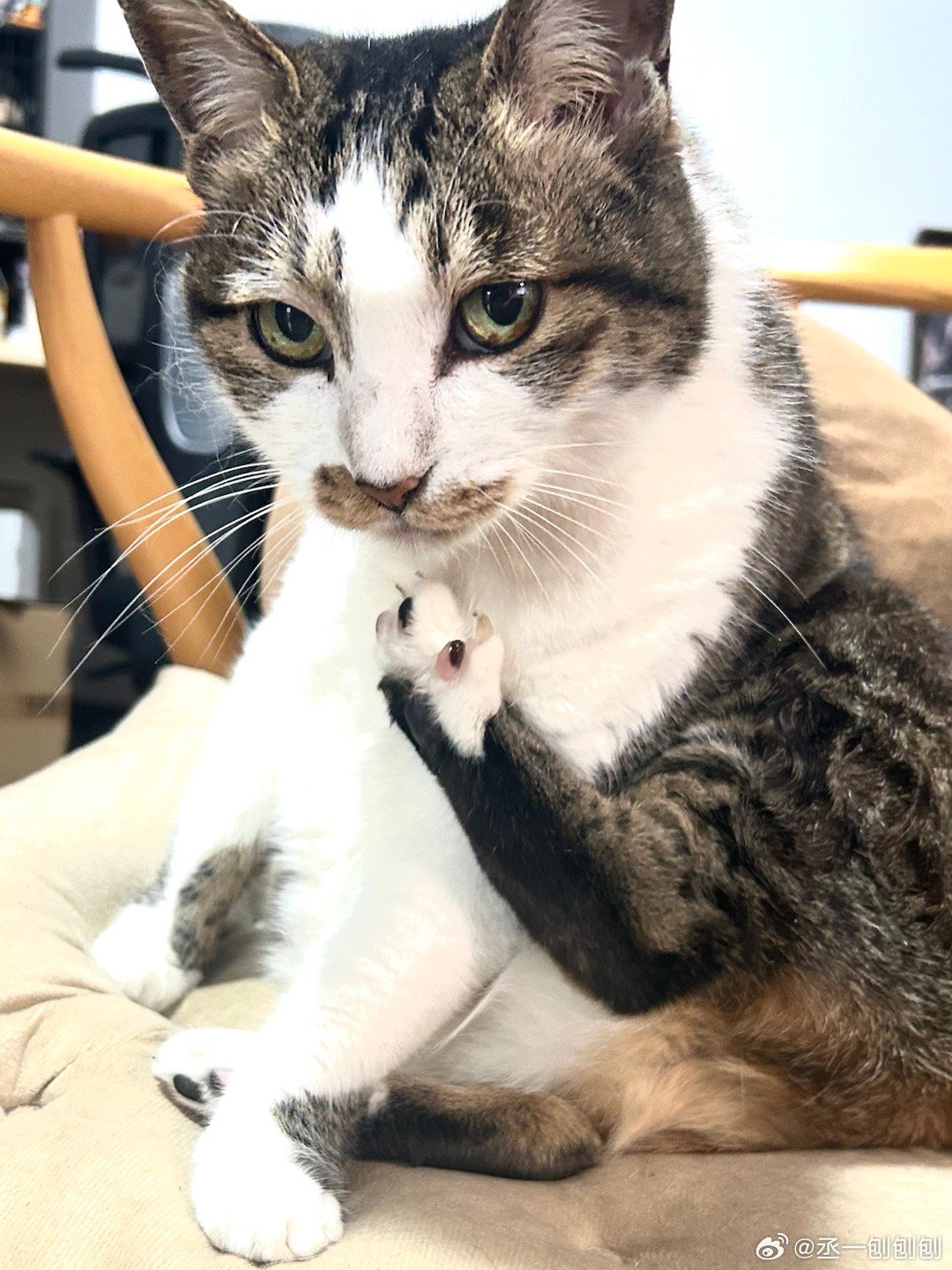 反光的脚丫子 
