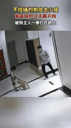 人仗狗势，必须严惩