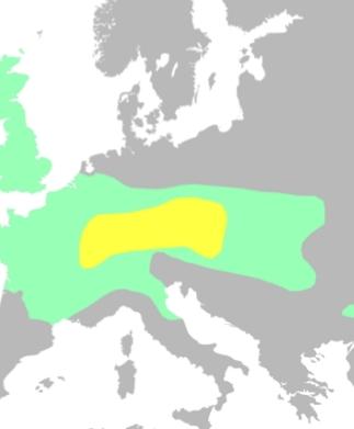 凯尔特
凯尔特人，或称为赛尔特人、盖尔特人、居尔特人、克尔特人等，是一支具有悠久