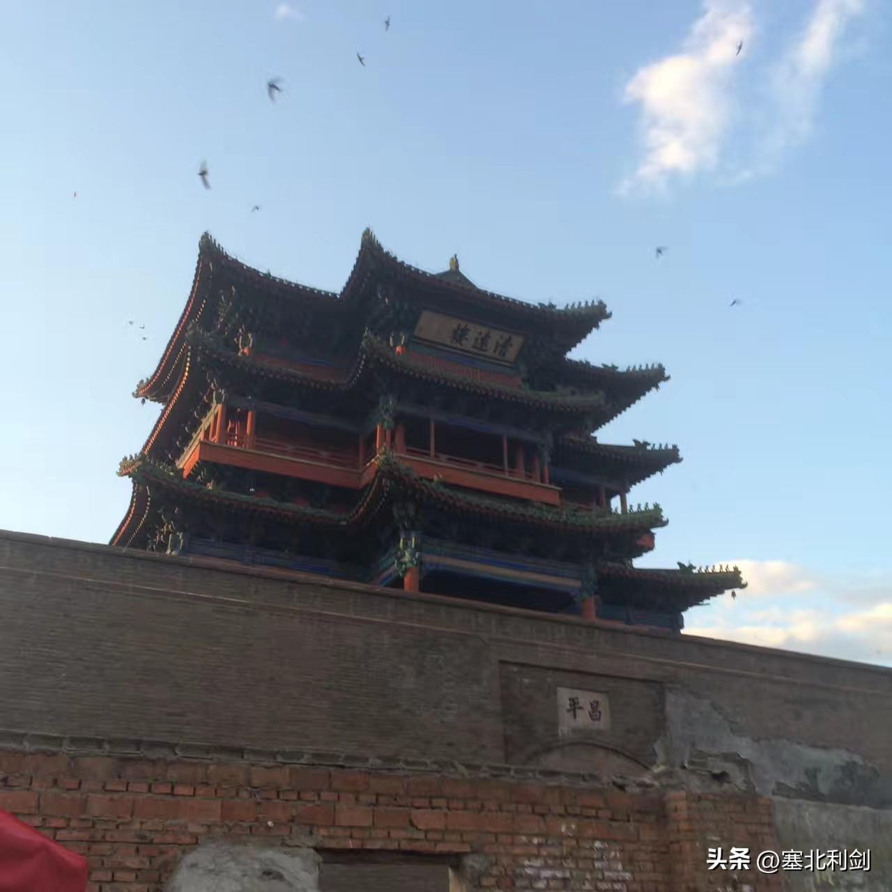 宣化钟楼往年夏天燕子很多，今年看着少了。为什么少了？燕子不吃落地食，都是吃空中小