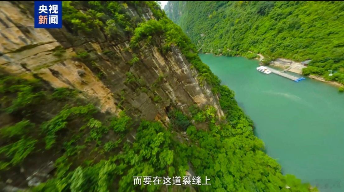 世界第一高桥与国产智能汽车同框看到花江峡谷大桥通过极限承重测试，心中满是自豪！中