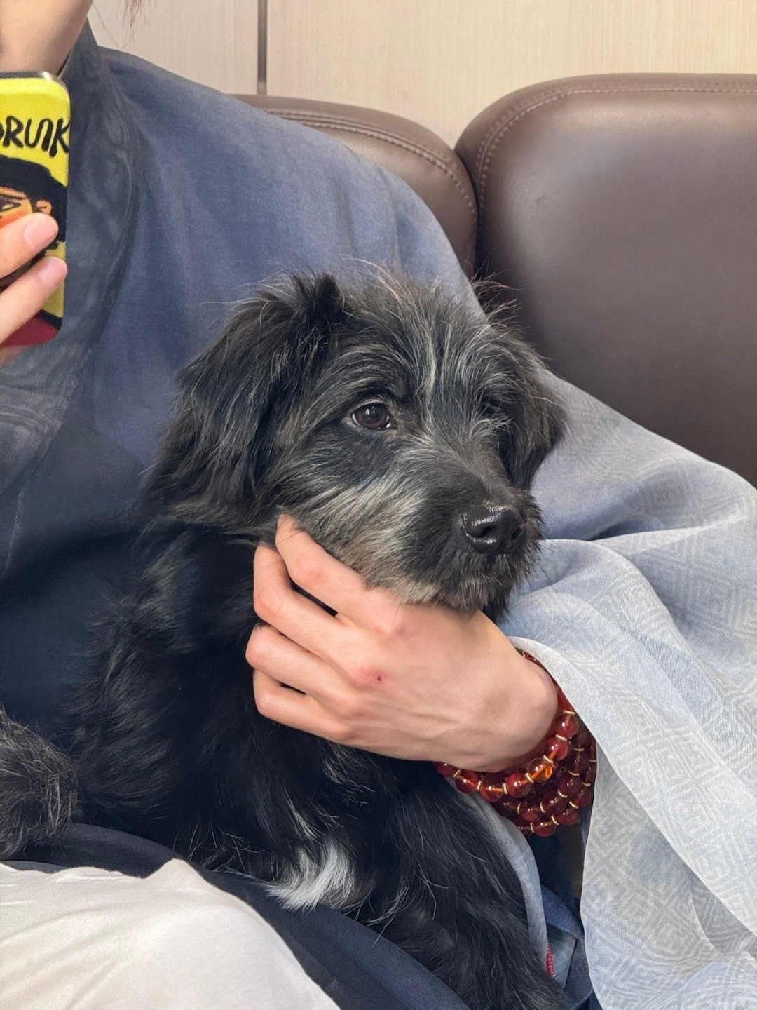 我媳妇的手…… 