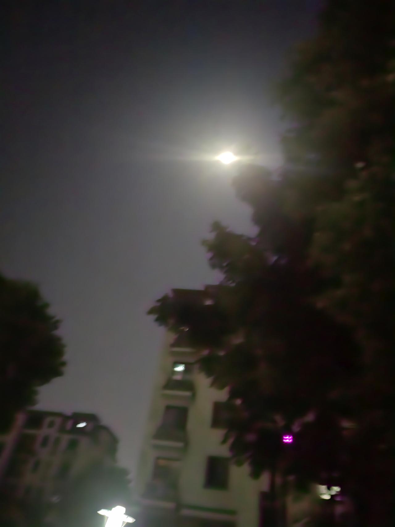 我入不了你的眼，你也别入我的心，你把我删了，我把你忘了。忘记一个人到底需要多少年
