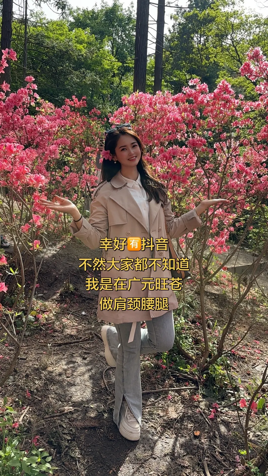 粉色杜鹃花海