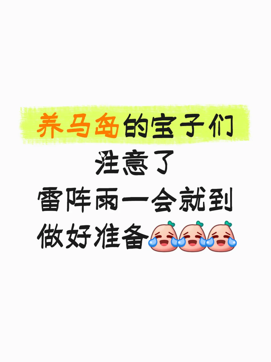 8.22号下午烟台的雷阵雨还是来了