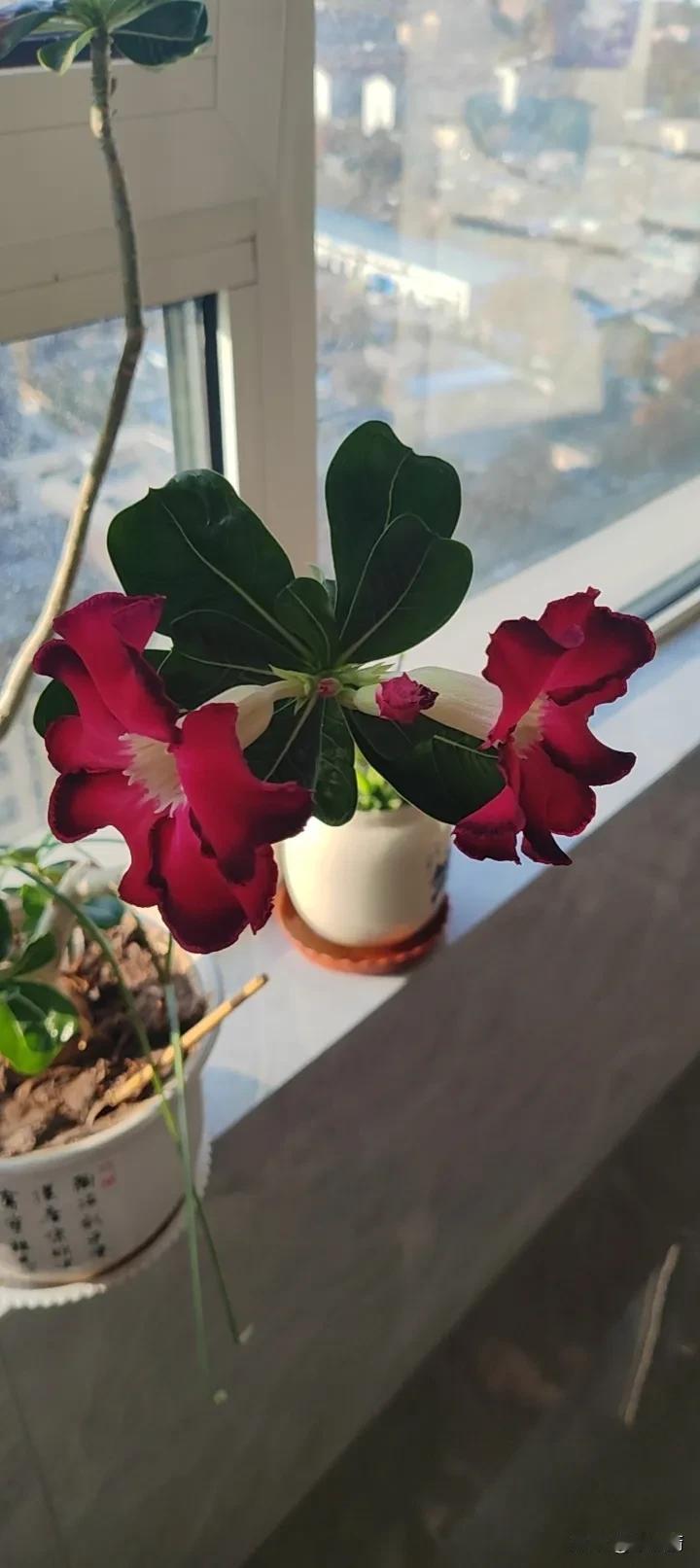 分久必合，
合久必分，
分了再合，
合了再分。
改革嘛，
没有对错，
只有试错。