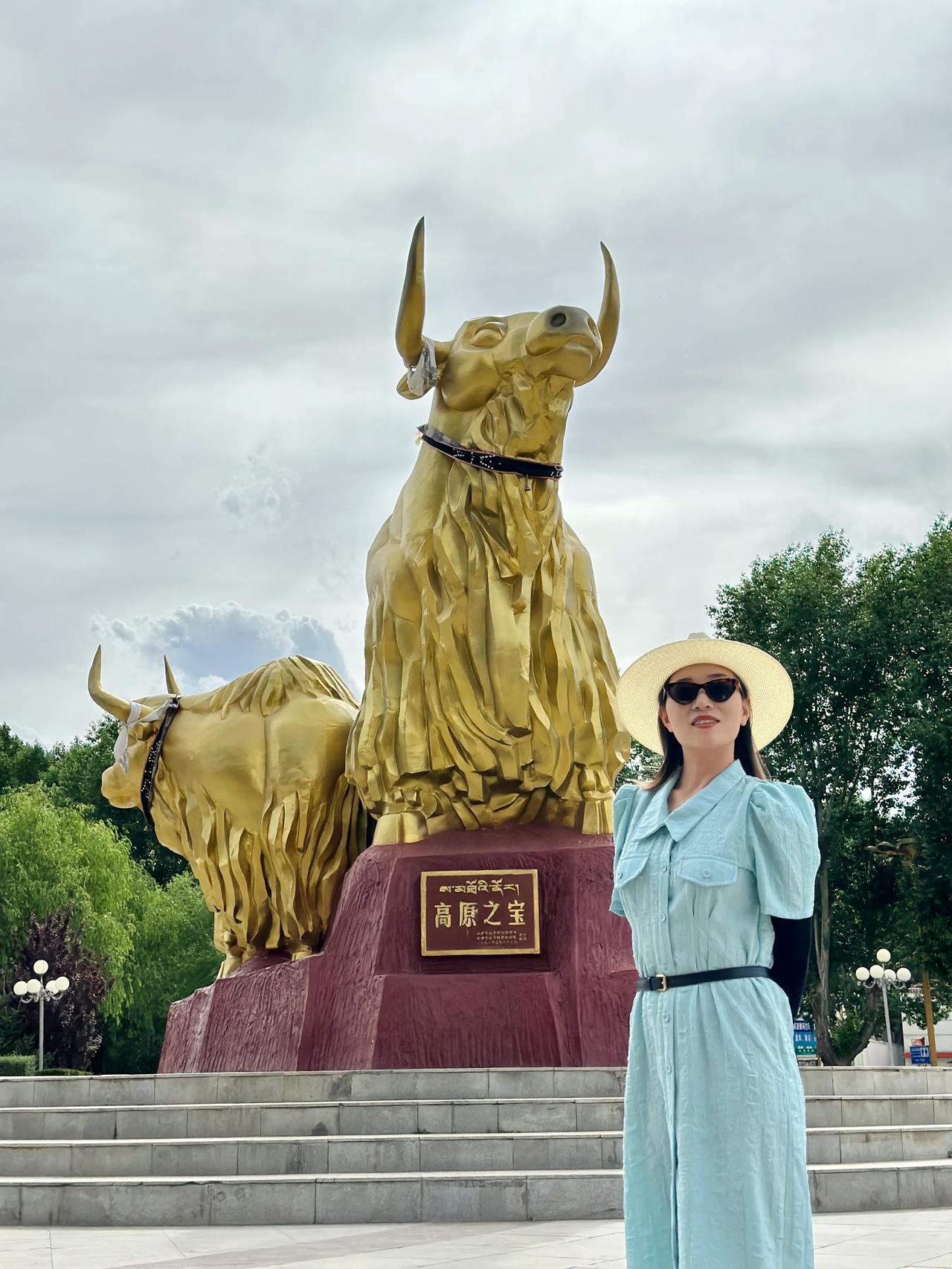 打个卡，西藏来过很多次了，拉萨也是，不过布达拉宫只进去过一次，2011年去的，当