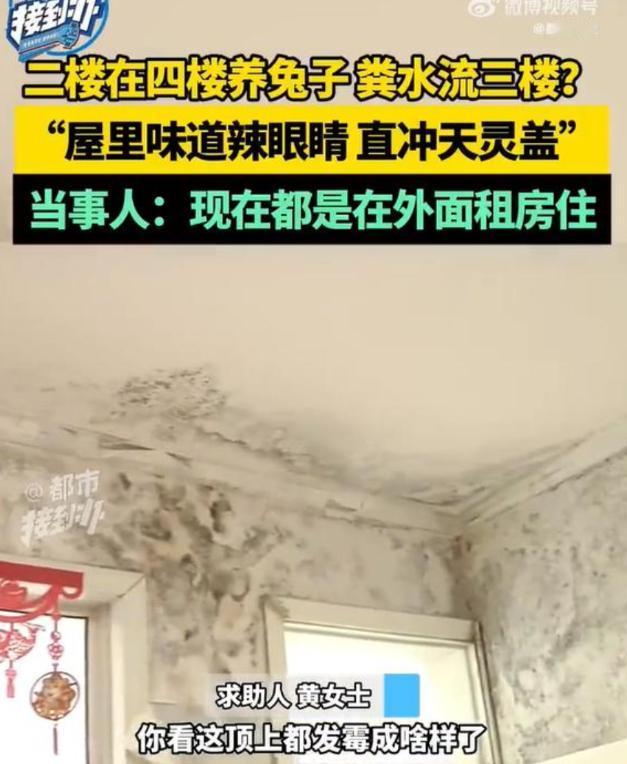 2楼住户“因3楼漏水”去4楼养兔子大鹅，3楼业主：兔子尿流进我家，味道直冲天灵盖