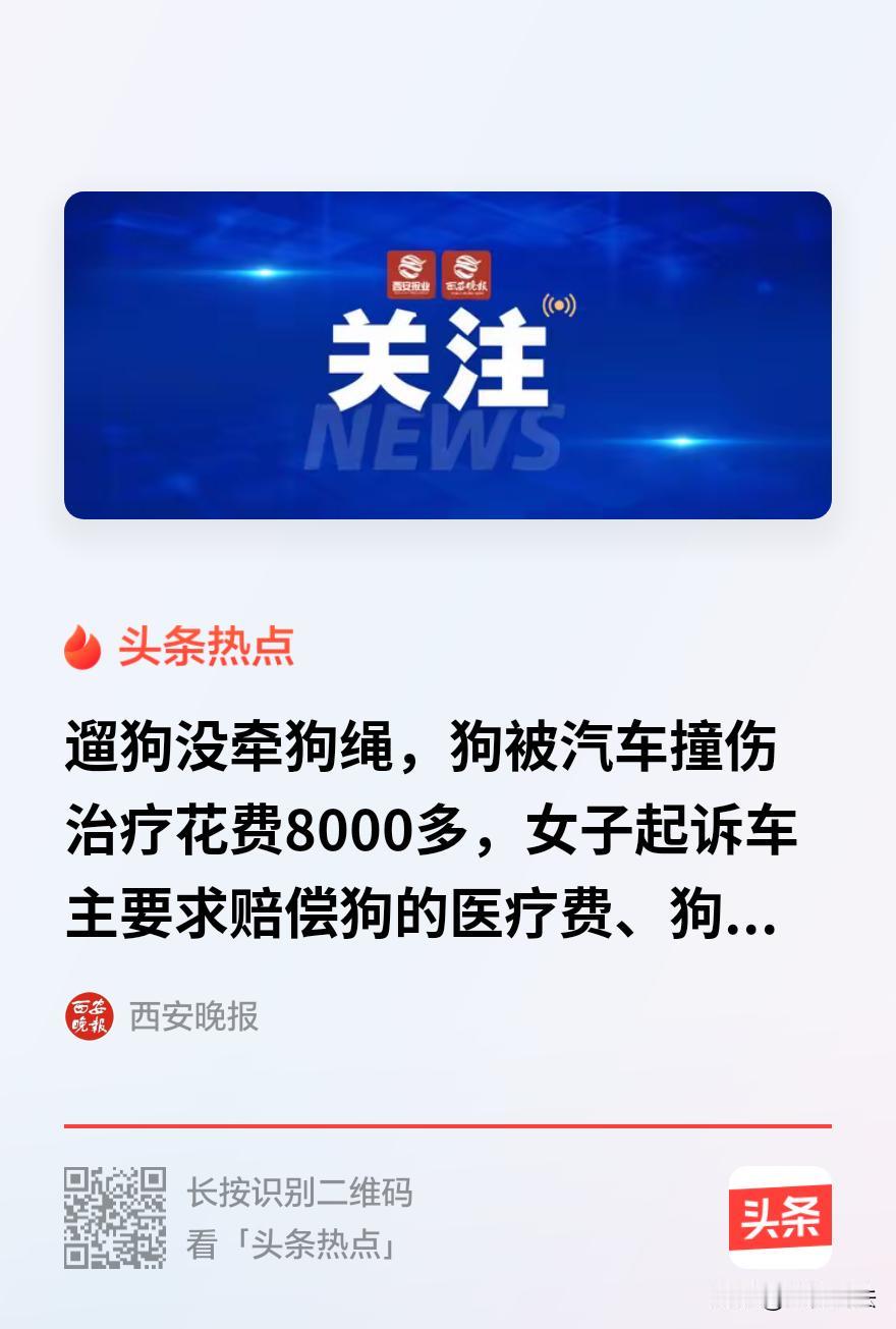 “冤不冤？”北京，一女子带爱犬在河边散步，没拴牵引绳，狗狗突然窜上马路，一辆小轿