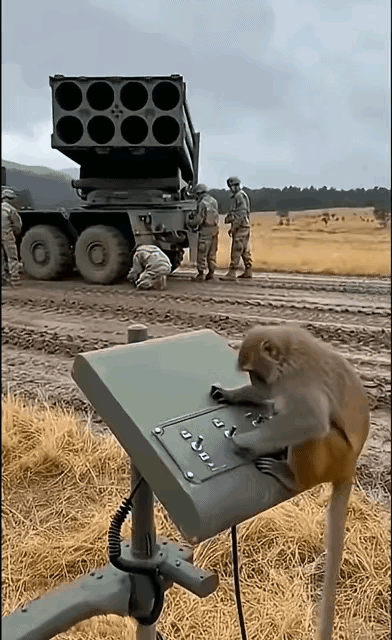 一只猴子引起的战争～