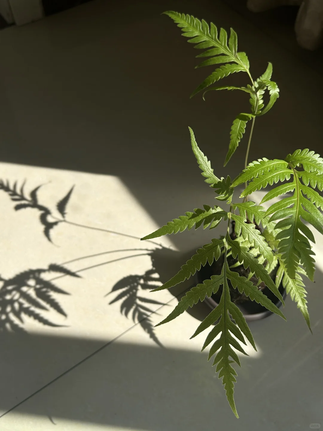 只想念，不联系，只关注，不打扰，放在心底