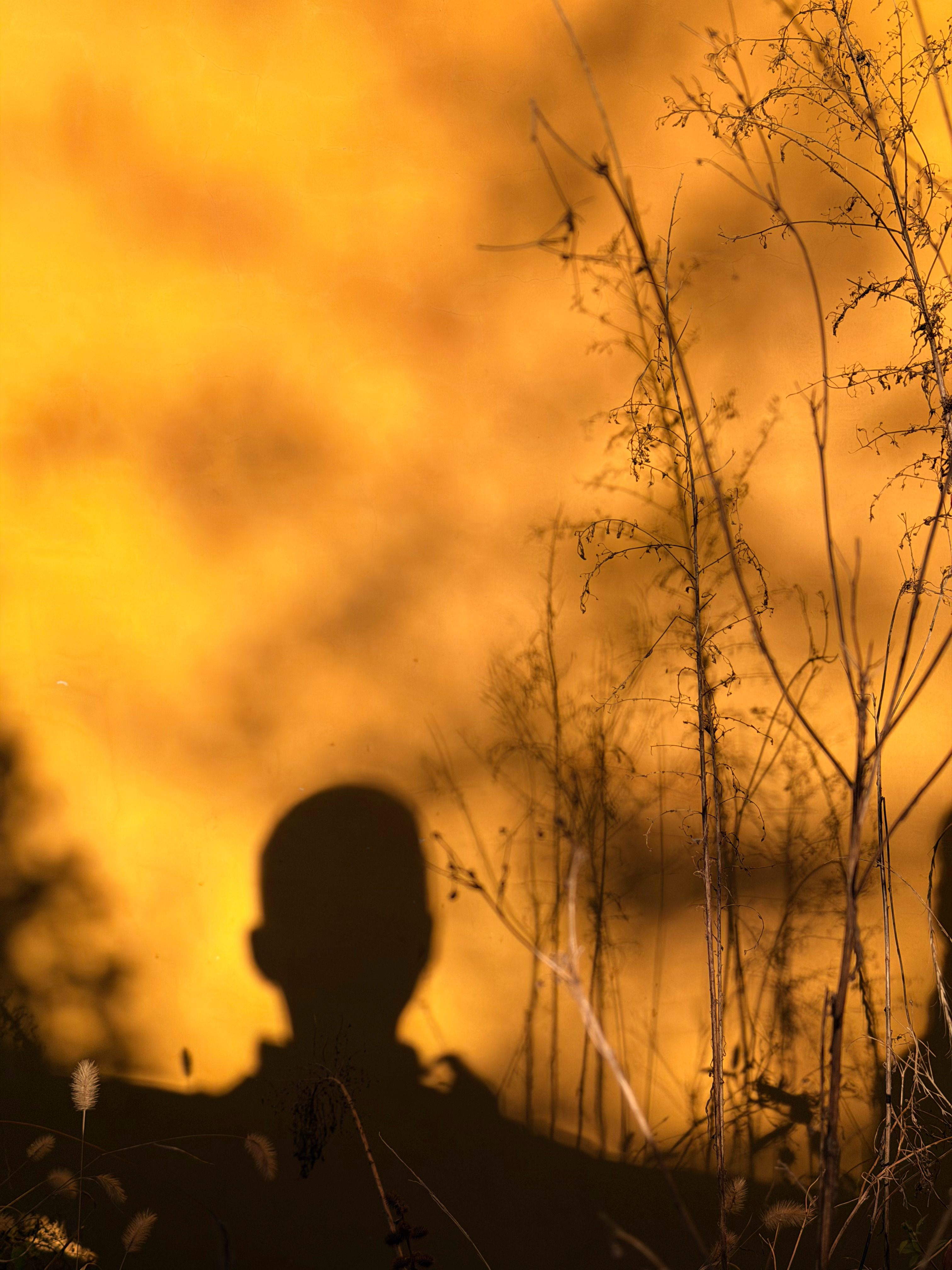物物而不物于物，念念而不念于念。