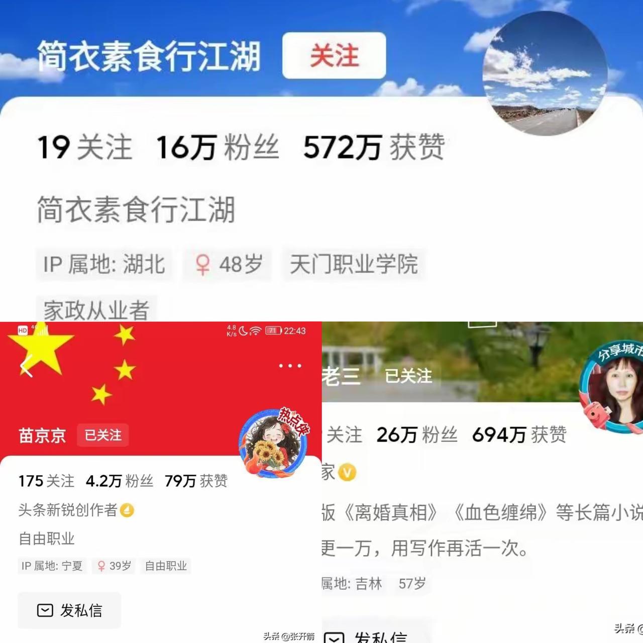 别再盯着素老三、苗京京了，                      头条真正的