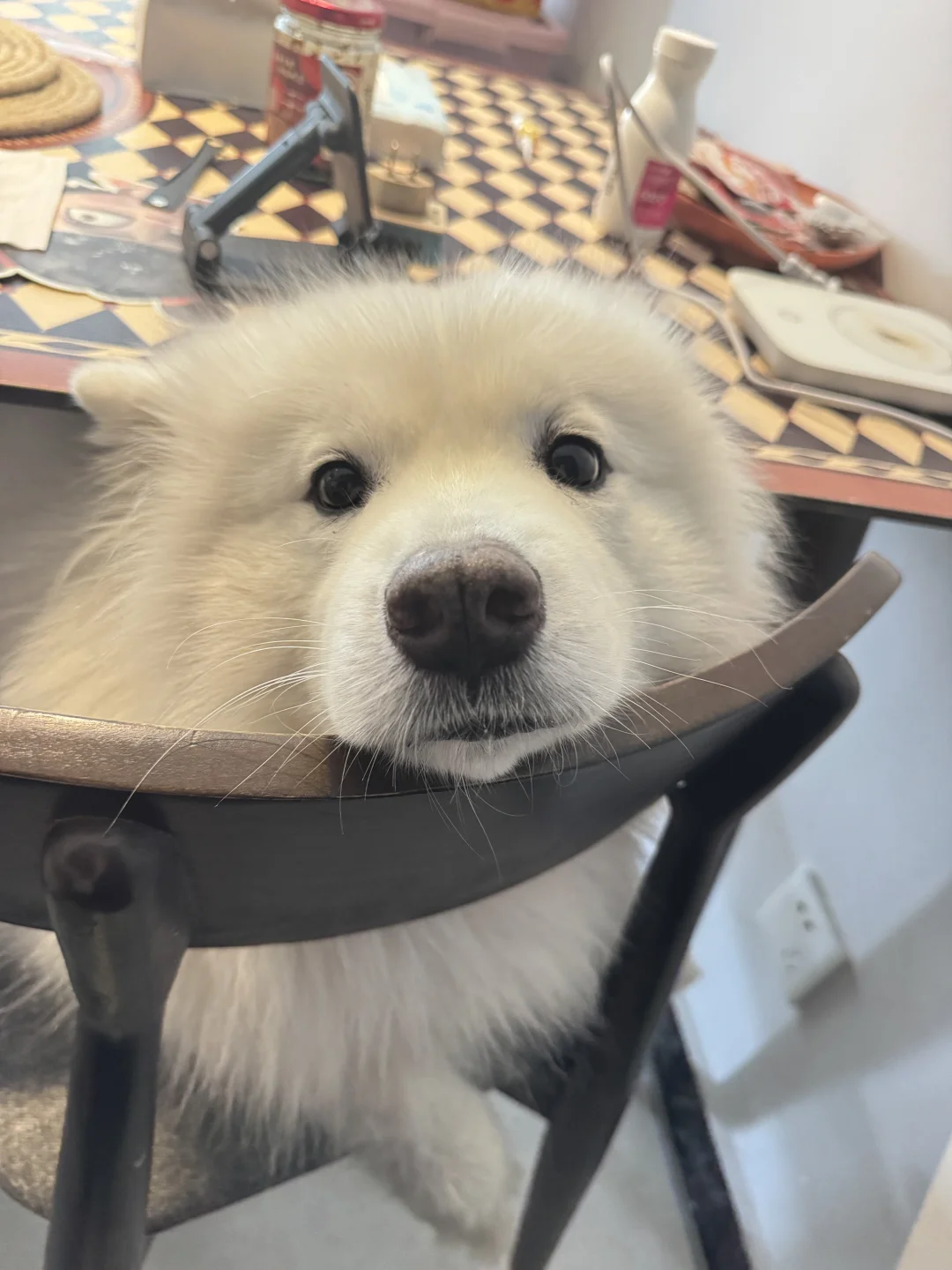 请给我点赞点关注（球球了[doge]