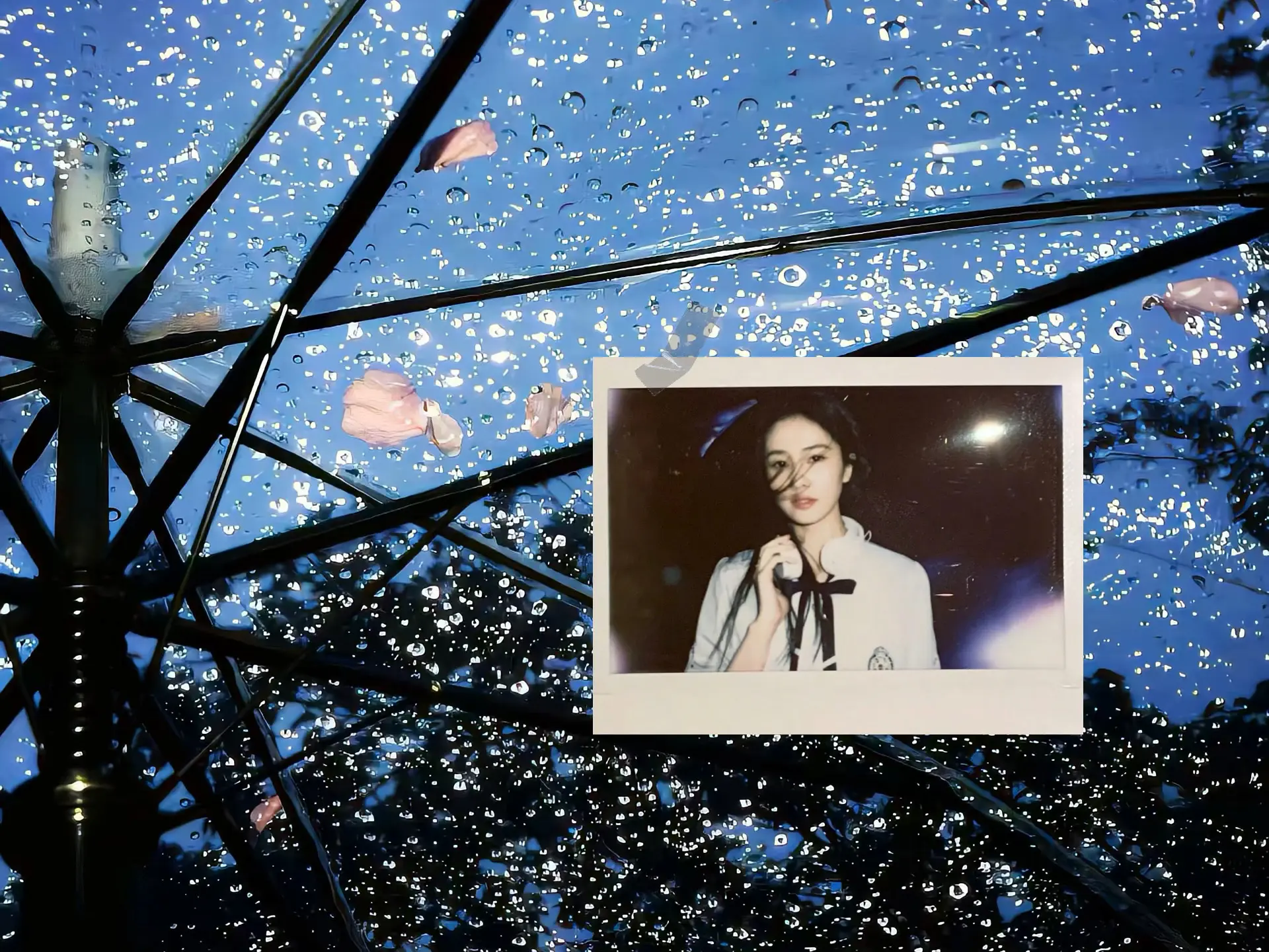 我爱你 所以愿意了解你 你叫白鹿 你的原名是白梦妍你是94年出生 你的...