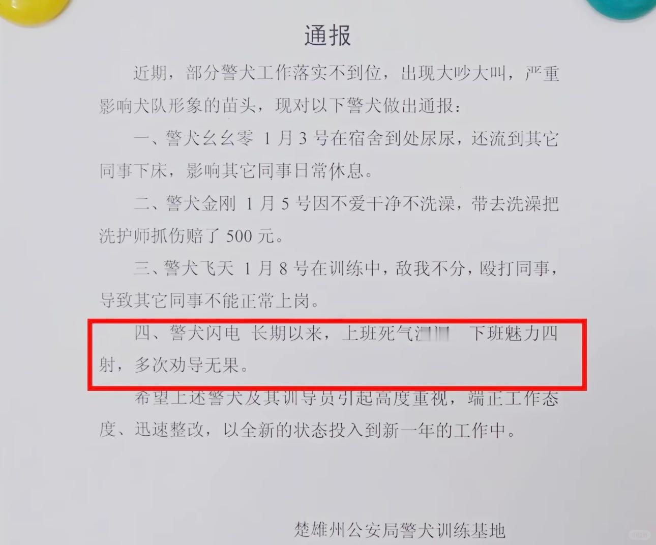 警犬被通报批评😂“警犬闪电，长期以来，上班死气沉沉，下班魅力四射，多次劝导无果
