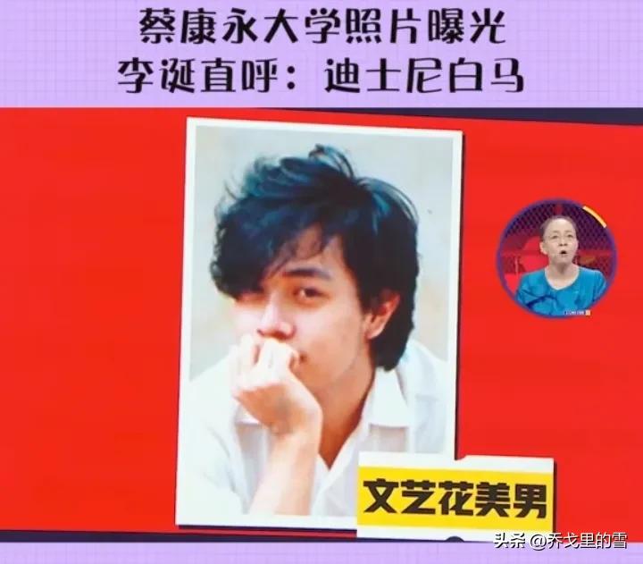 居然还有人说，年轻时候的蔡康永像张国荣，这是啥眼神呀？哥哥如果知道了，会不会气晕