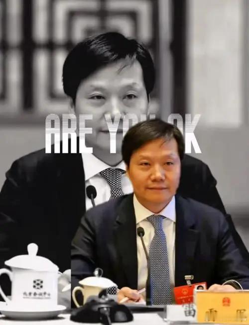 #小米代言人# ，总所周知，小米永远的代言人是雷总。其他的不管是演员明星，还是运