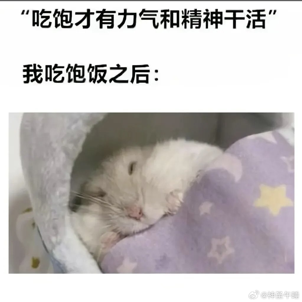今日份的小破梗，是谁的精神状态