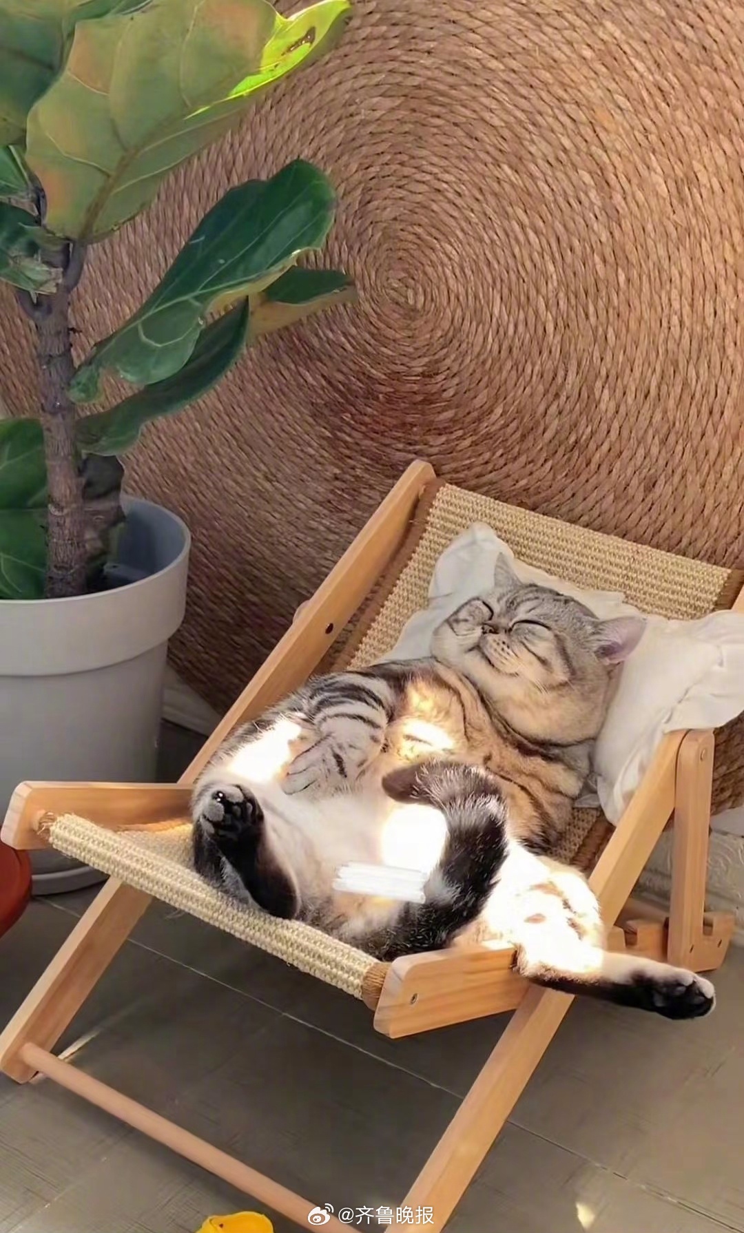 #早安# 愿你的生活常温暖，日子总是温柔又闪光。 