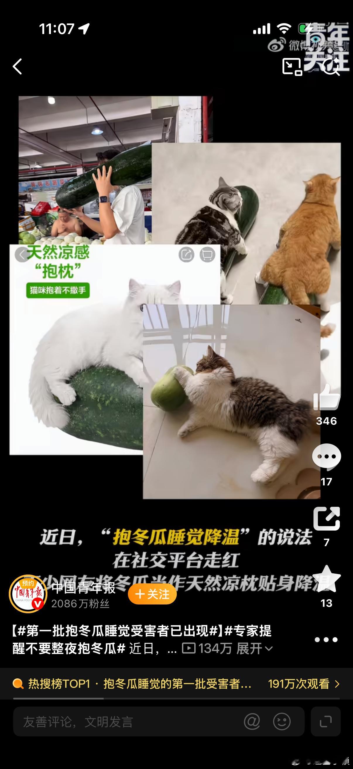 没用的知识又增加了，原来冬瓜会“炸瓜”的整夜贴身怀抱冬瓜，在人体热量、汗液和密闭