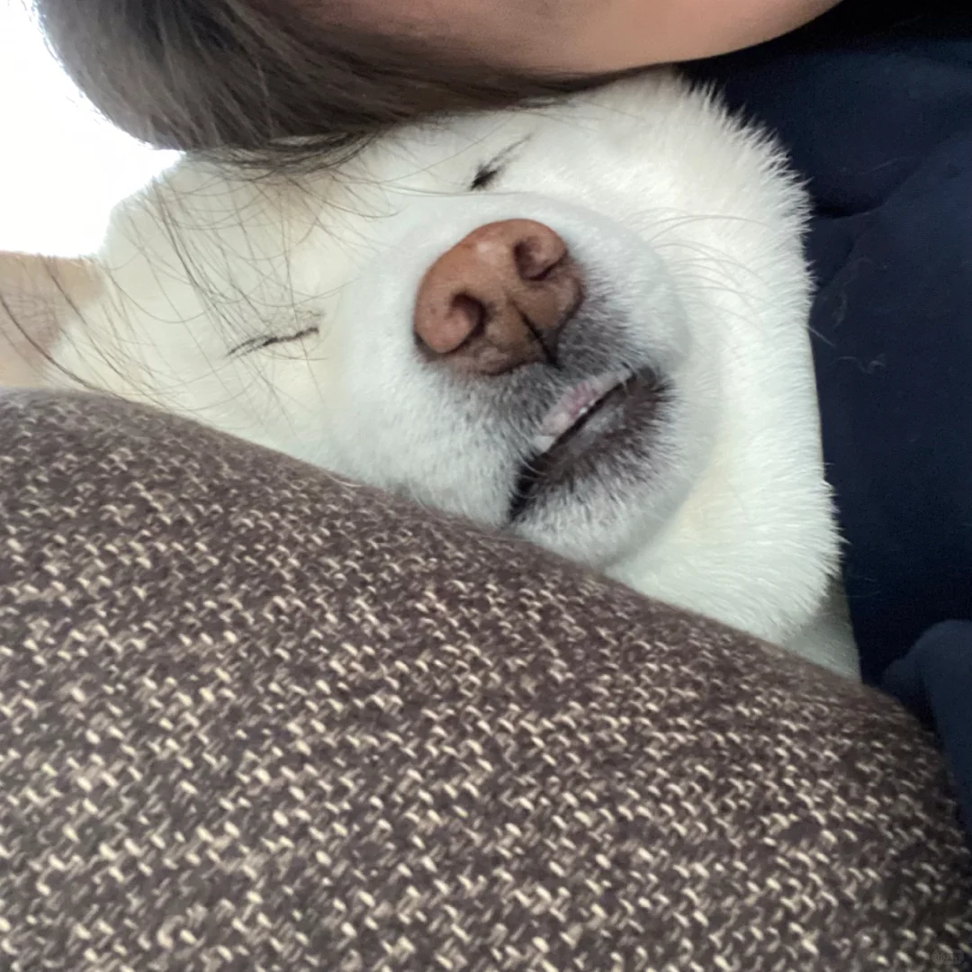╮(￣▽￣