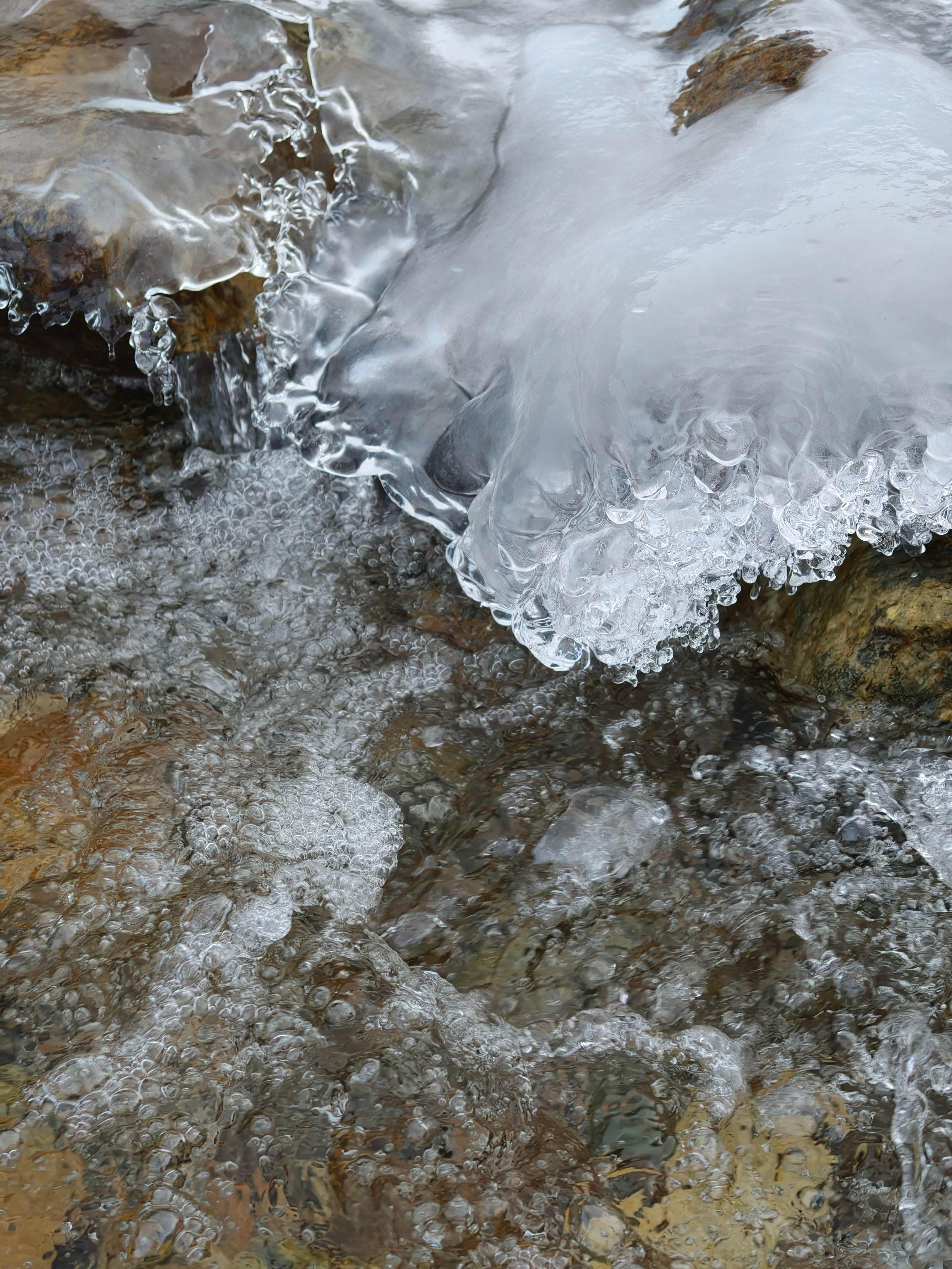 用哈苏拍Live是什么体验 