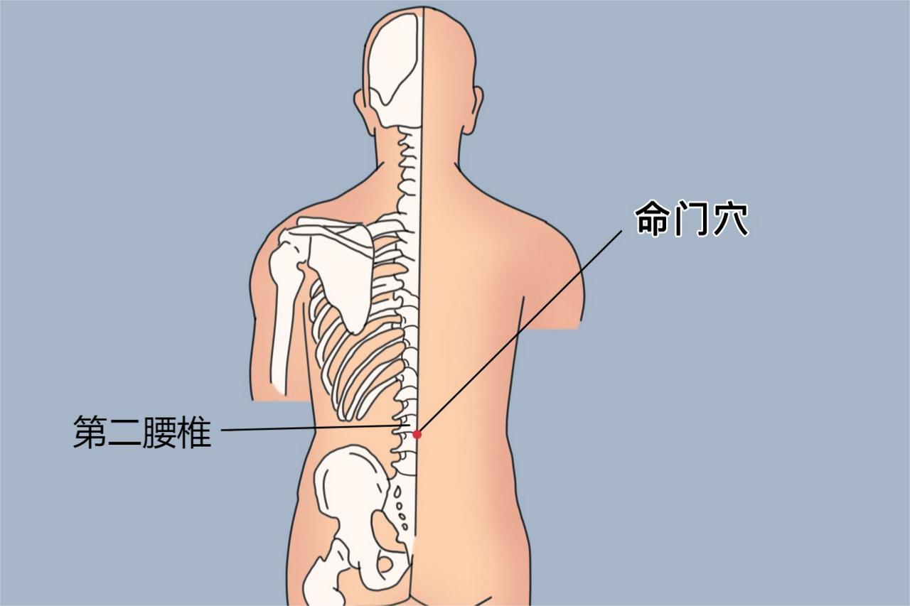 第124穴位命门

一、精准定位
 
- 位置：腰部后正中线上，第2腰椎棘突下凹