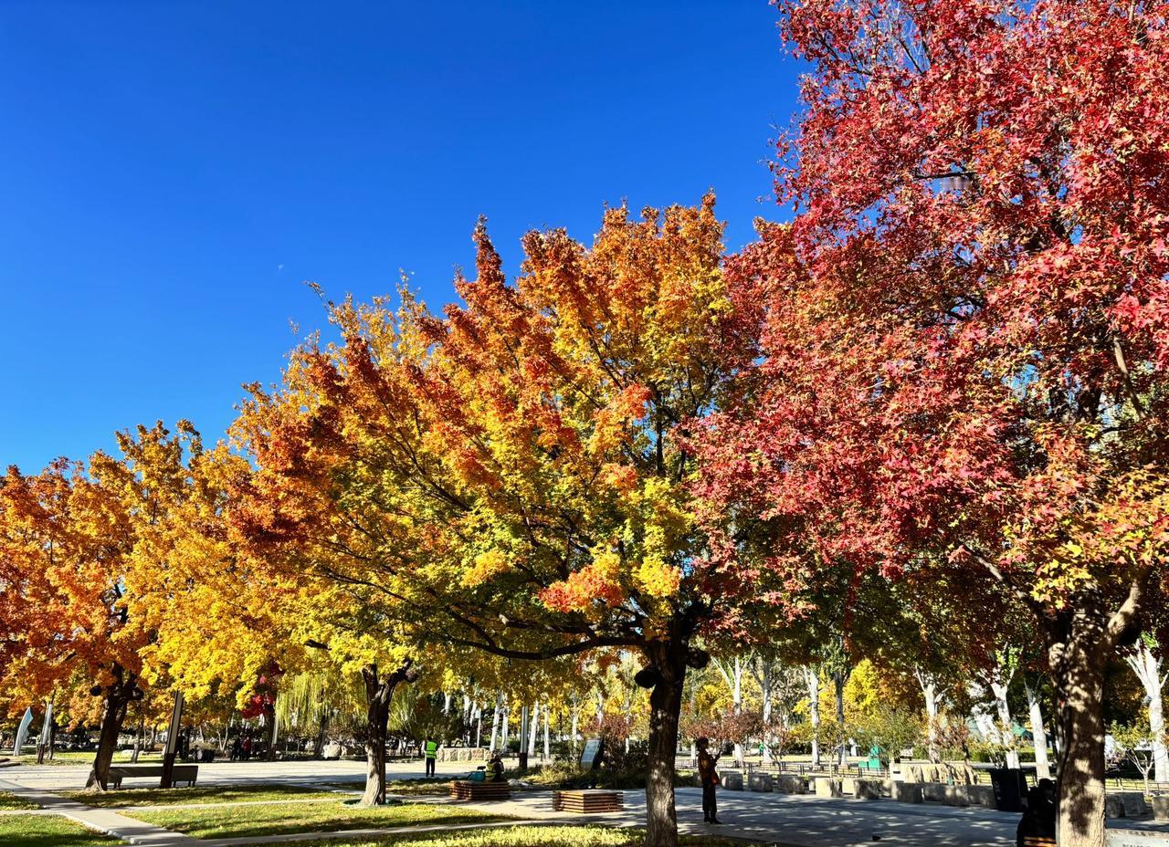北京蓝，终于回来了！
今天北京的天气特别好，特别温暖。
蓝天白云，微风拂面，太阳