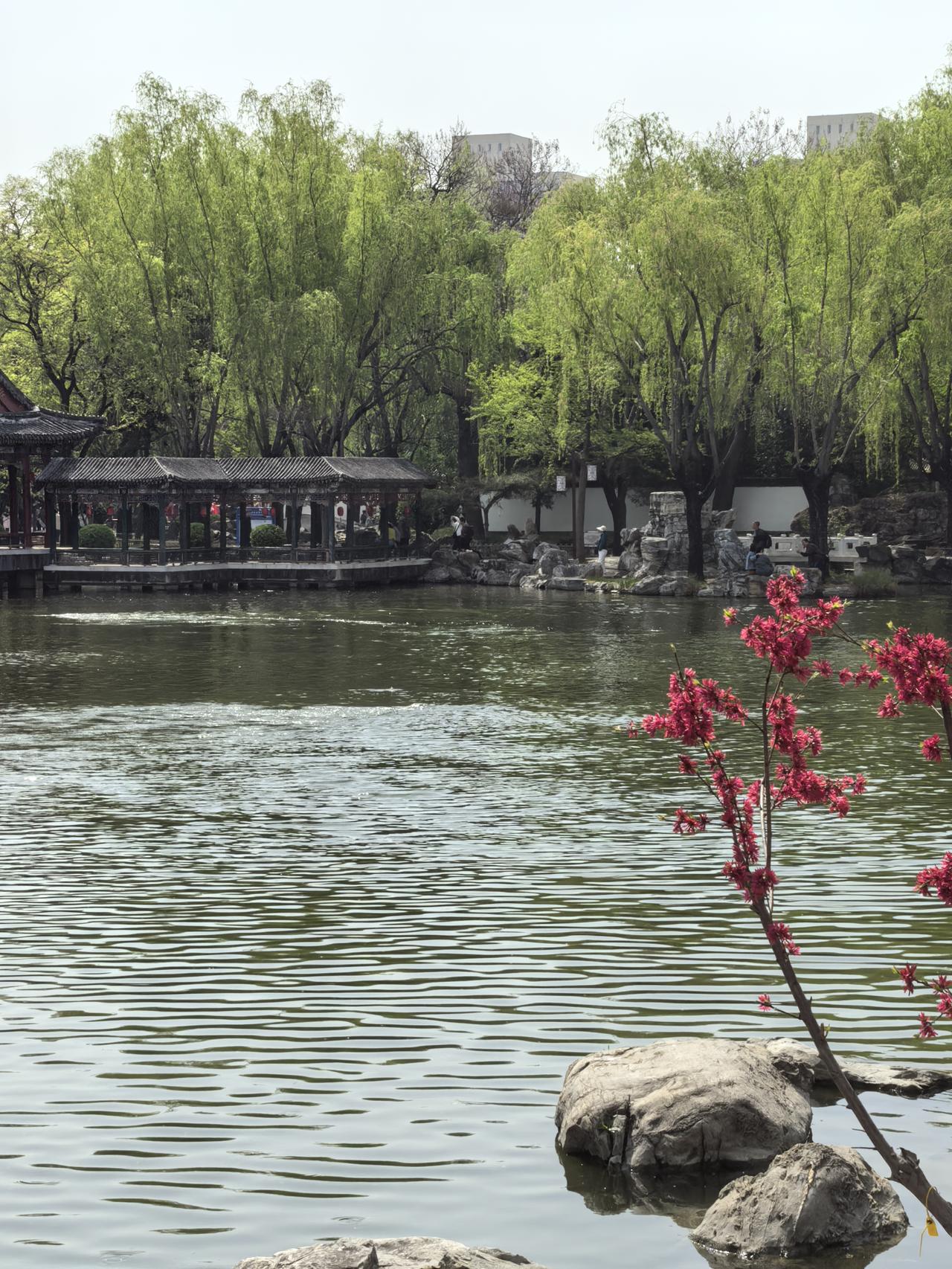 大观园一个小水洼都能拍出大湖的感觉