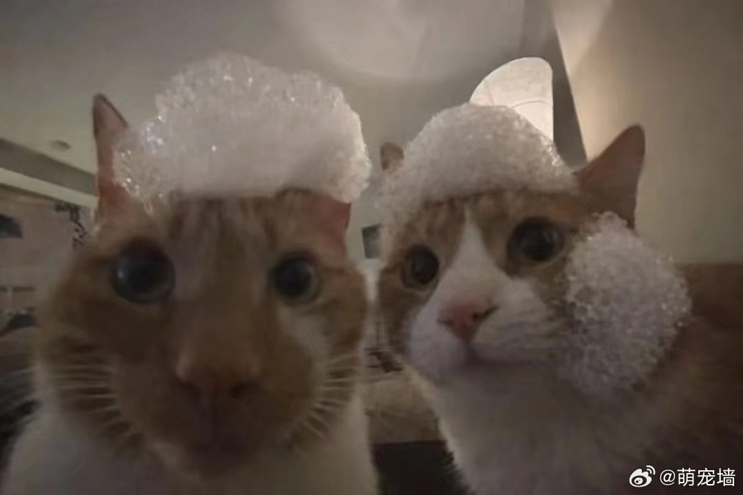 你干啥偷看咪们洗澡 