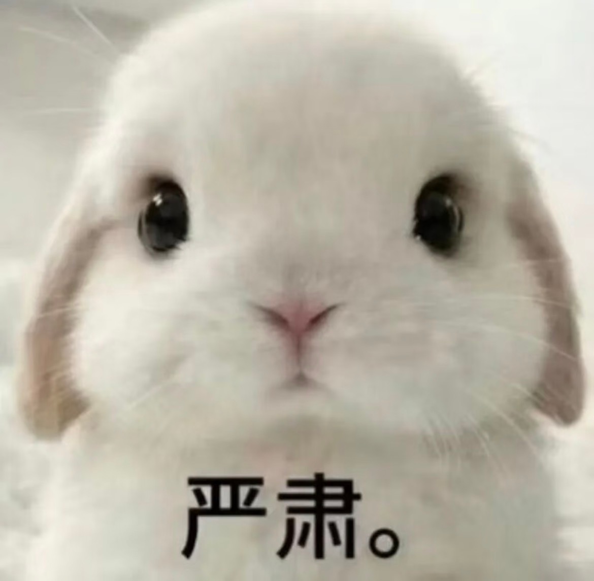 早睡🛌……是早上睡的意思吗 那我确实做到了 