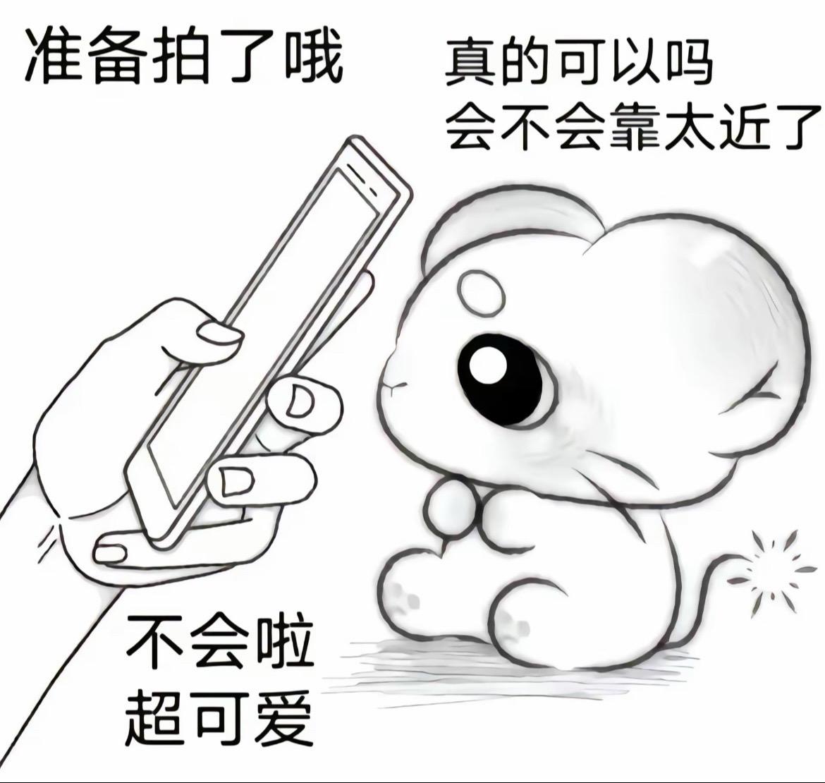 这么拍会不会太近了？