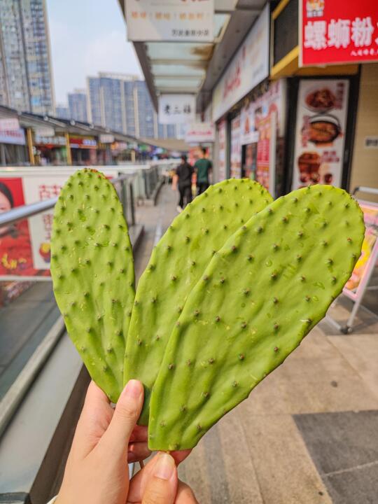 南昌人😅真的啥都吃啊啊