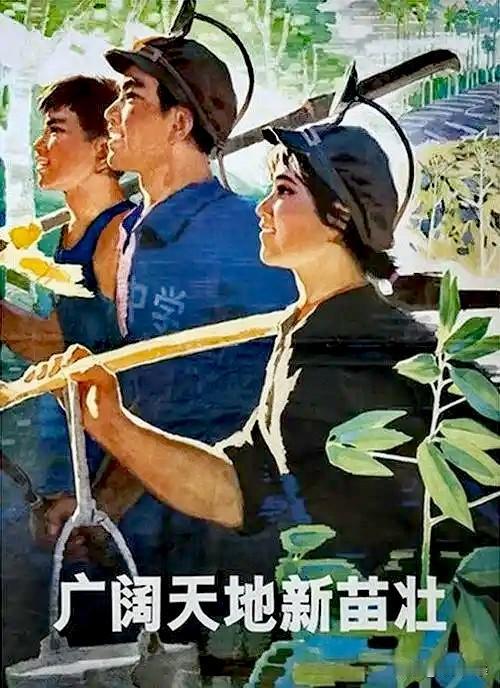 同时也希望知识分子深入基层，接受工农群众再教育，褪去脱离实际的书生气，走与工农相