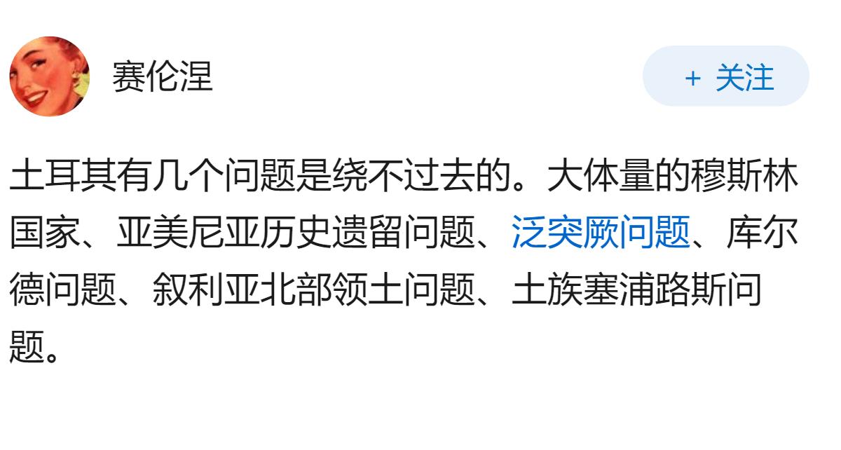 欧盟始终没有接纳土耳其，导致其“由爱生恨”，现在看欧盟的策略有问题吗？