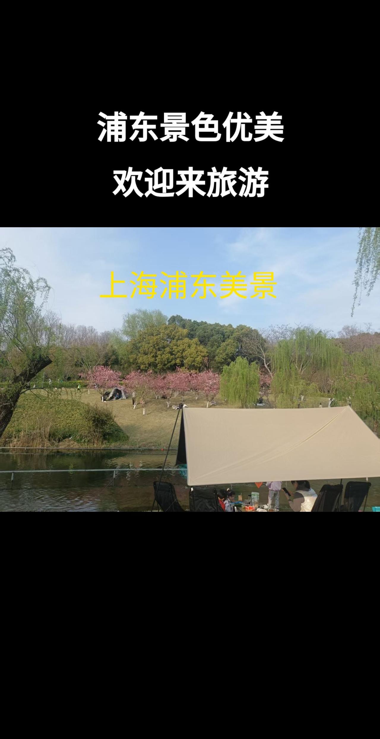 浦东 旅游 春假 家庭