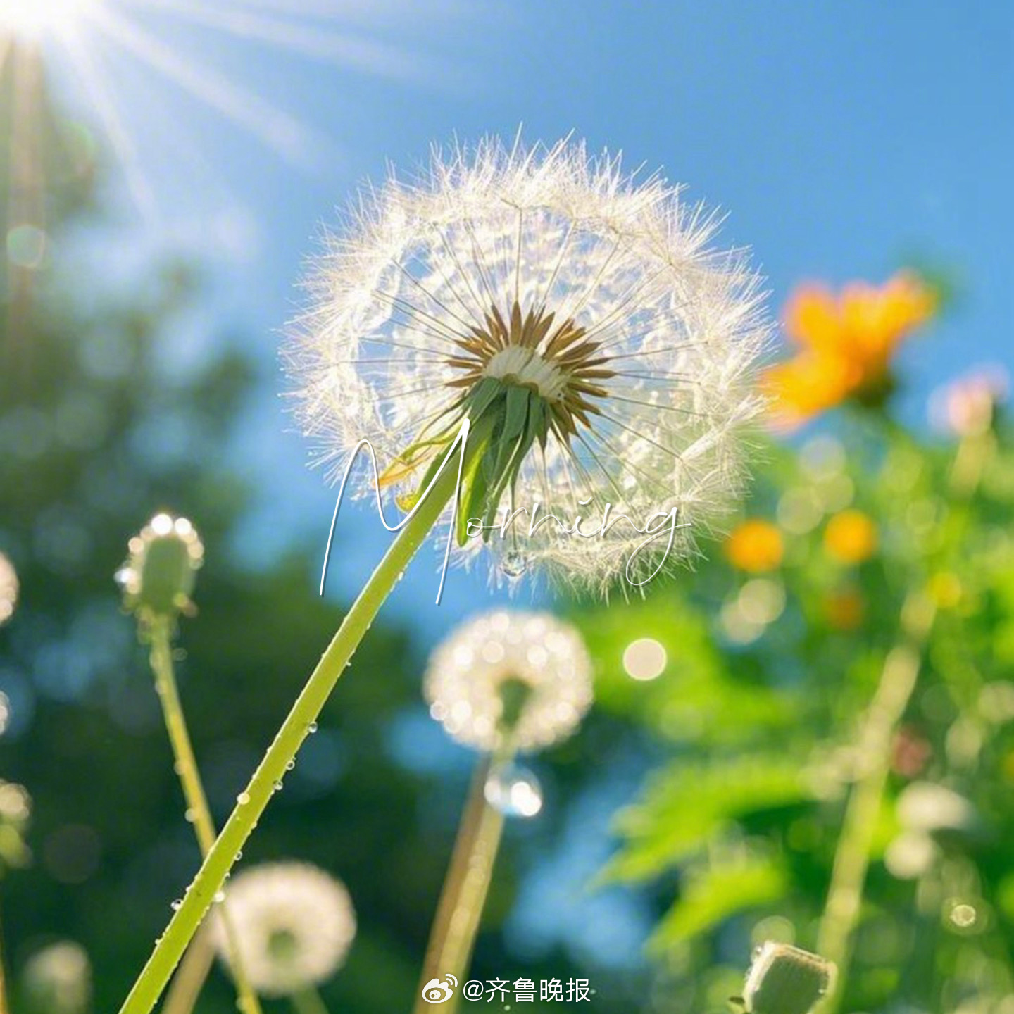 安静做事时间会回答所有#早安#