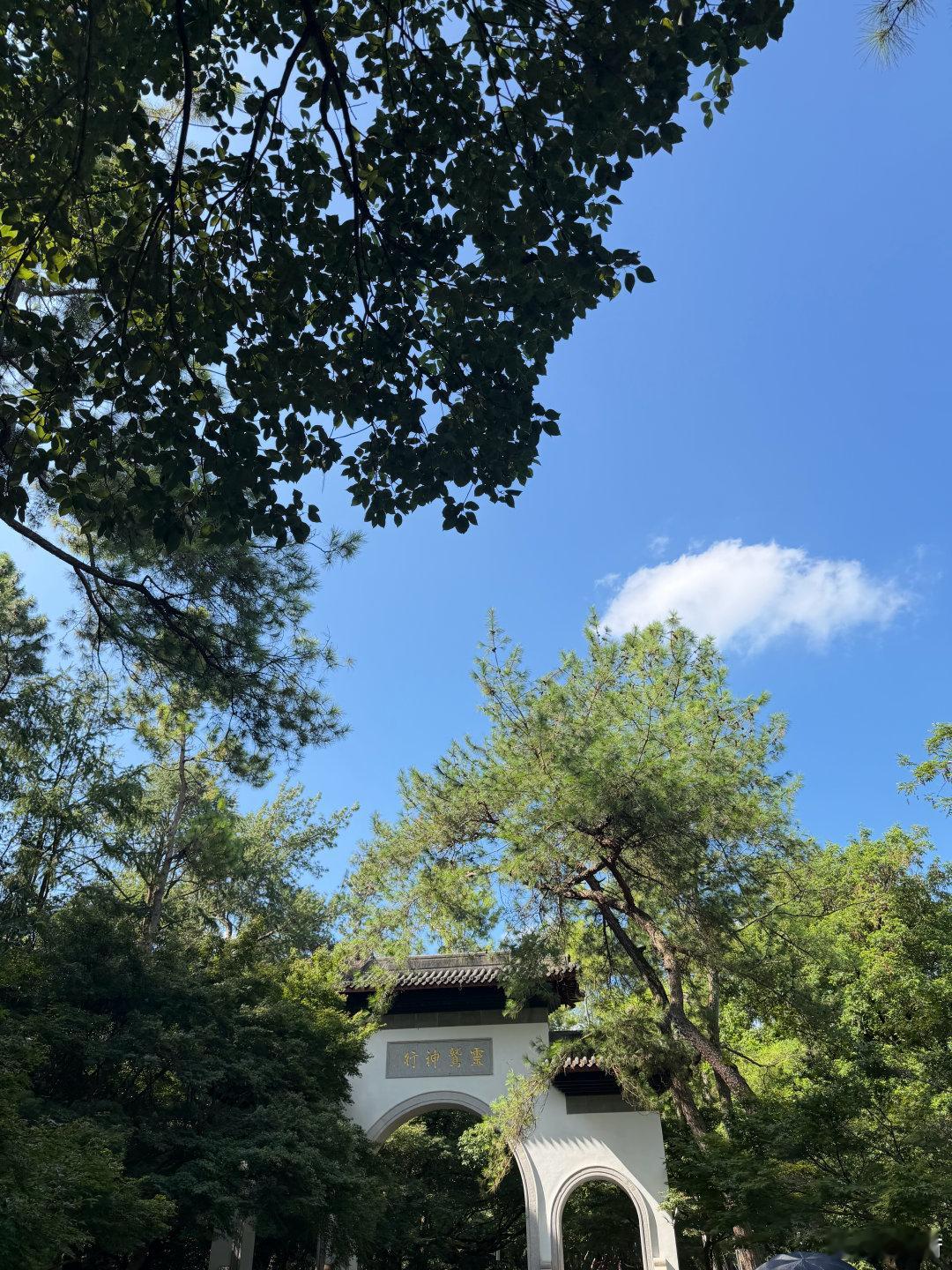 天下第一财神庙封闭，所以只去了灵隐寺，带着老人孩子，就是走一步停三步。主打随心所