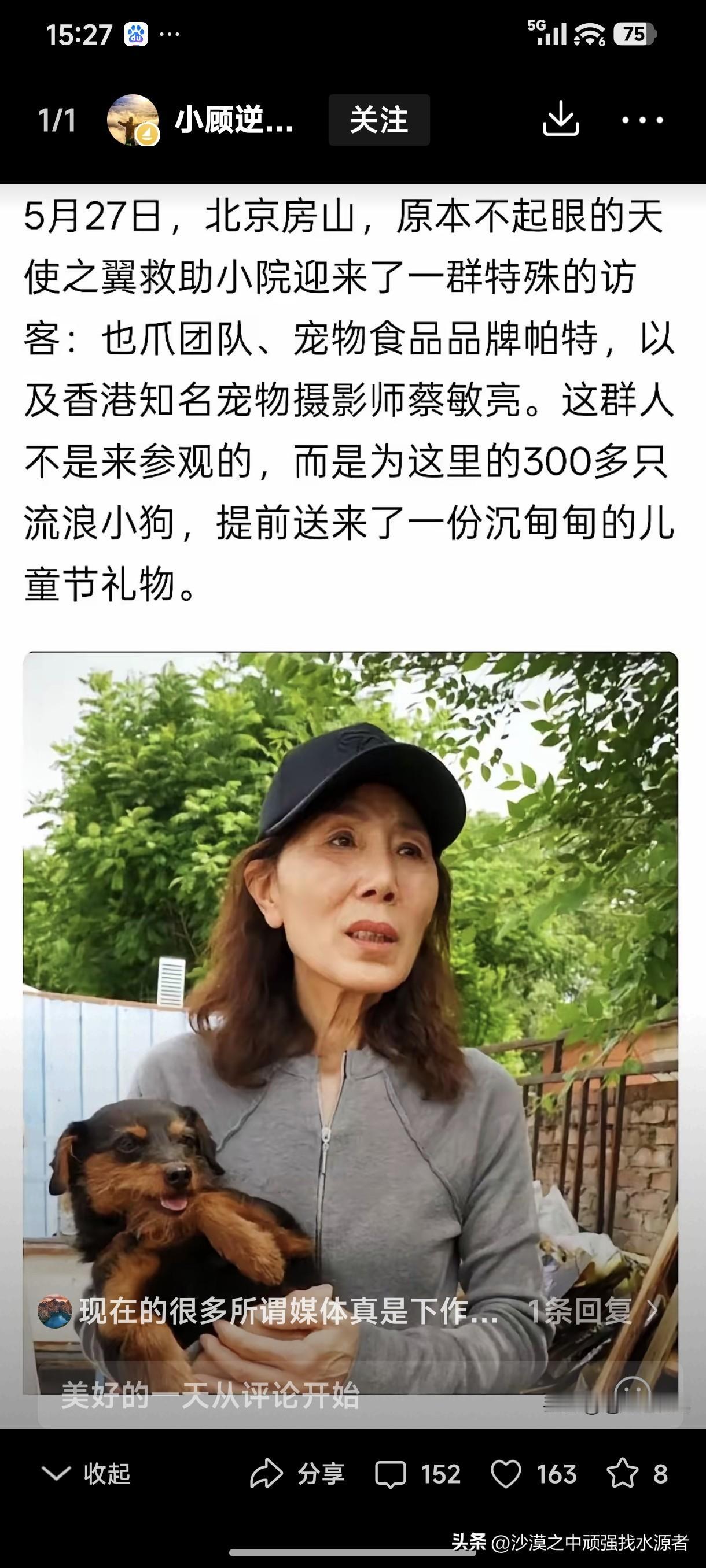 真的太气人了！好好的六一儿童节，被一些“爱心人士”变成了“宠物狗”的六一“毛孩子