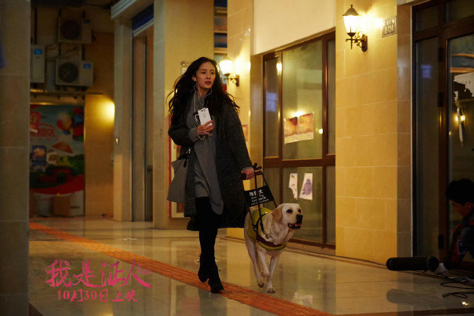 电影我是证人上映十周年我是证人上映10周年杨幂、鹿晗主演的电影我是证人上映十周年