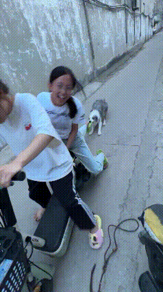 两个小姐姐想着出门逛商场，怕家里的边牧Dollar黏人闹腾，就打算悄悄骑着电车溜
